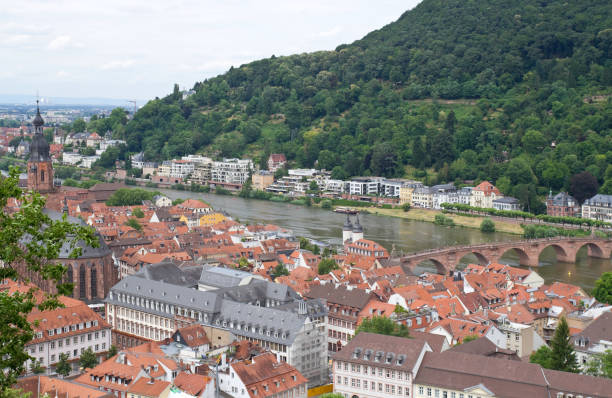 istock Panoramic view of Heidelberg 1144869356