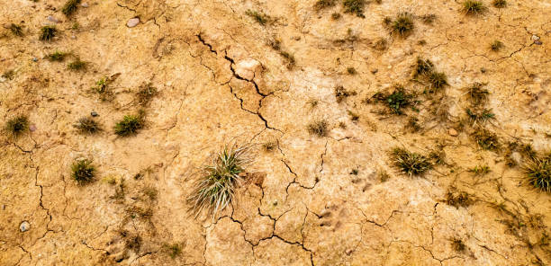 istock Cracked dried ground.Dried earth and grass close-up 1144870209