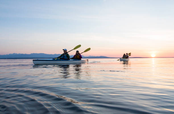 gruppo di persone amiche kayak di mare insieme al tramonto in una splendida natura. sport d'avventura all'aria aperta attivi. - olympic peninsula foto e immagini stock