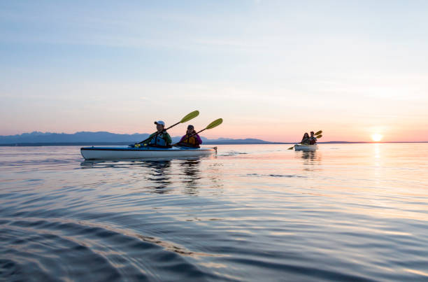 o mar dos amigos do grupo de pessoas kayaking junto no por do sol na natureza bonita. esportes de aventura ao ar livre ativos. - noroeste do pacífico - fotografias e filmes do acervo