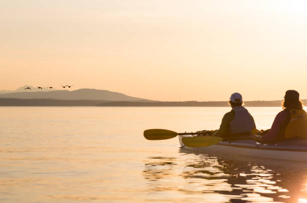 due donne in kayak da mare a guardare gli uccelli. persone che godono di stili di vita sani, natura e fauna selvatica. - olympic peninsula foto e immagini stock