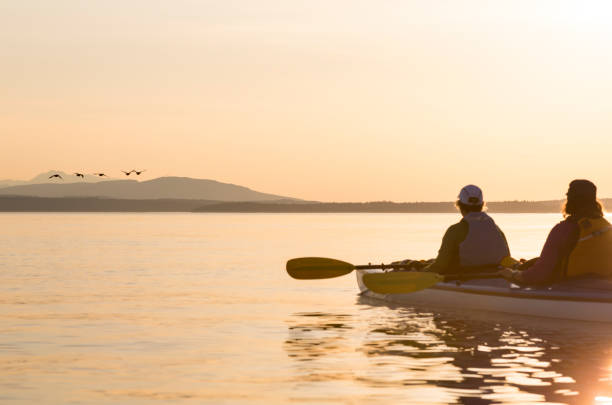 Two women in a sea kayak bird watching. People enjoying healthy lifestyles, nature and wildlife. Two women in a sea kayak bird watching. People enjoying healthy lifestyles, nature and wildlife. olympic peninsula photos stock pictures, royalty-free photos & images