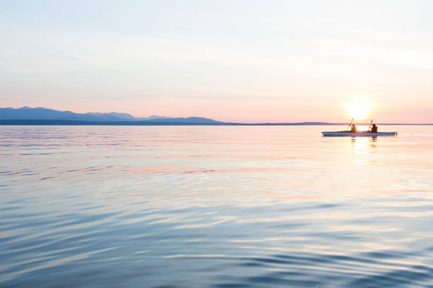 persone donne kayak di mare remare in barca in acqua calma insieme al tramonto. sport acquatici attivi all'aperto. concetti di viaggio, destinazione, lavoro di squadra. - olympic peninsula foto e immagini stock