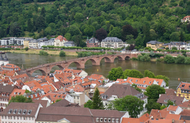 istock Panoramic view of Heidelberg 1144871251