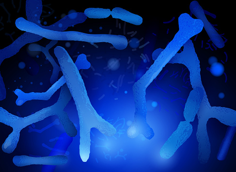Probiotics and prebiotics. Normal gram-positive anaerobic microflora background. Editable vector illustration in bright blue colors in realistic style. Medical, healthcare and scientific concept.