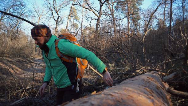istock A young male tourist with a backpack steps over a fallen tree in the forest with a backpack. Theme hiking tourism in the forest. Overcoming difficulties and challenges 1144872472