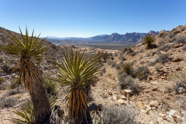 istock Red Rock Canyon National Conservation Area in Nevada. 1144873853