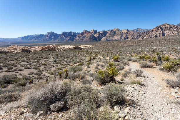 istock Red Rock Canyon National Conservation Area in Nevada. 1144873893