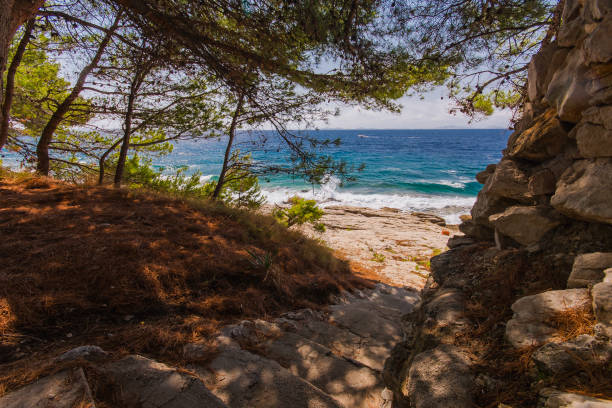 istock Island Murter turquoise lagoon beach, Dalmatia, Croatia 1144879916