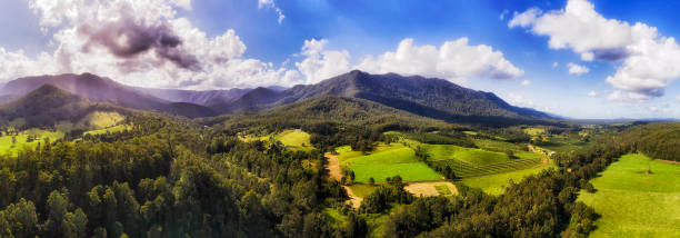 d bellinger 2 dorrigo pan verde - farm florida cattle travel locations foto e immagini stock