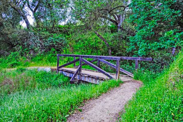 istock Walking Bridge on Trail by Coloma and American River 1144880993