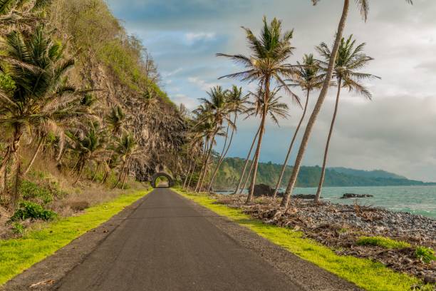 istock Road to Santa Catarina 1144881378
