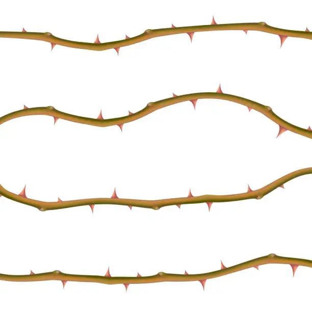 Vector illustration of Set of Realistic thorns isolated on white background