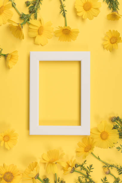 istock Flowers composition. Chamomile flowers with photo frame on yellow background. Spring, summer concept. Flat lay, top view, copy space 1144892218