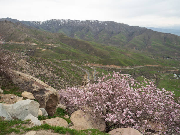 istock Landscape of Samarkand Uzbekistan. 1144905228