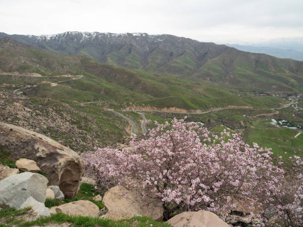 istock Landscape of Samarkand Uzbekistan. 1144905230