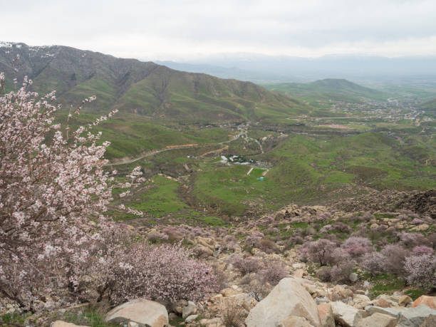 istock Landscape of Samarkand Uzbekistan. 1144905233