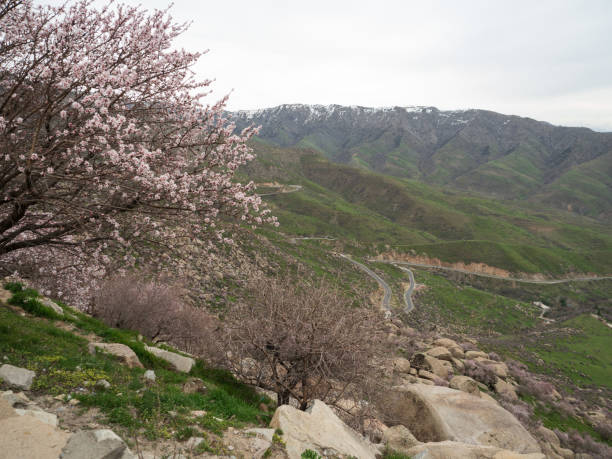 istock Landscape of Samarkand Uzbekistan. 1144905245