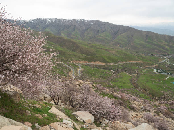 istock Landscape of Samarkand Uzbekistan. 1144905254