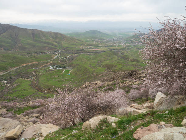 istock Landscape of Samarkand Uzbekistan. 1144905255