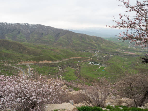 istock Landscape of Samarkand Uzbekistan. 1144905262