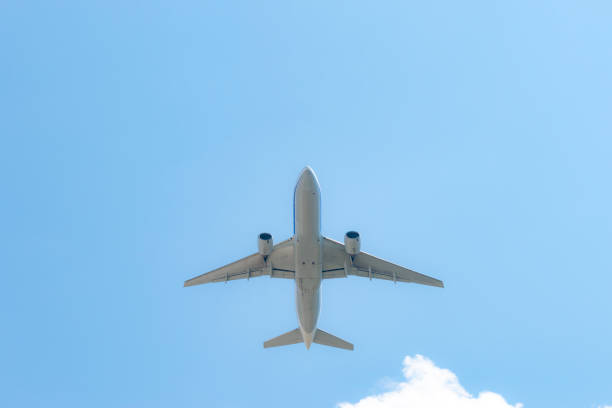 istock Airplane flying from the airport 1144920599