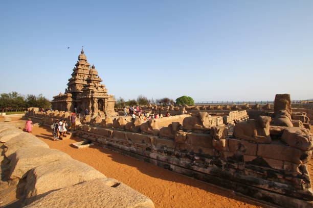 shore temple complex in mahabalipuram, kanchipuram, tamil nadu, indien - india statue carving history stock-fotos und bilder