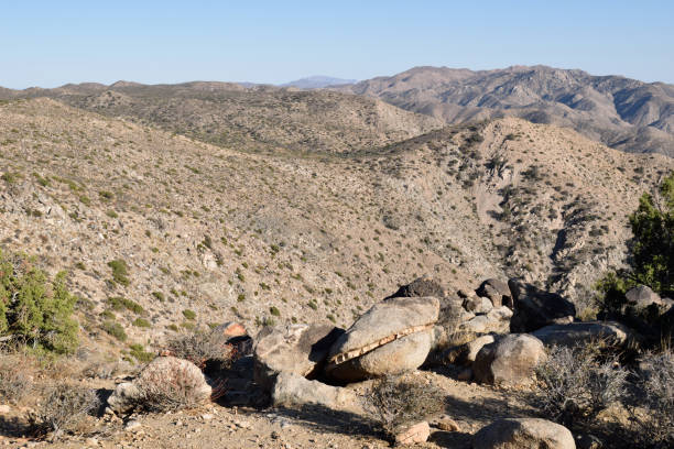 istock The Desert Landscape of Joshua Tree 1144923878