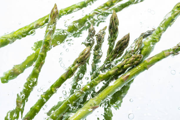 istock Fresh green asapalagas 1144925634