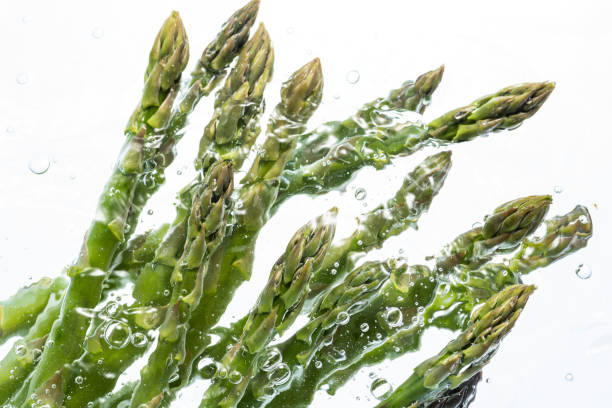 istock Fresh green asapalagas 1144925655