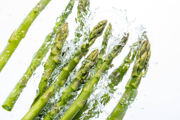 istock Fresh green asapalagas 1144925700
