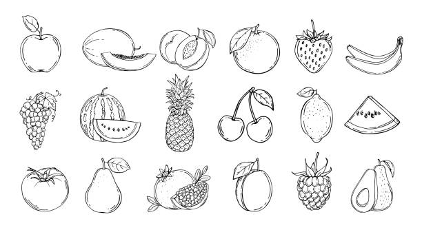 meyve seti. vektör illustration. el çizilmiş - kiraz illüstrasyonlar stock illustrations