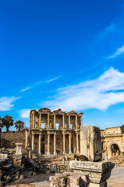 фасад библиотеки celsus в эфес - ephesus greek culture temple greece стоковые фото и изображения