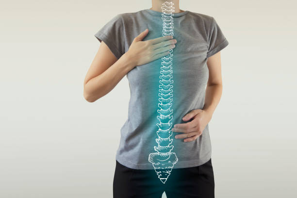 healthy human spine highlighted blue problems with human spine, scoliosis / sceleton drawing cerebrospinal fluid photos stock pictures, royalty-free photos & images