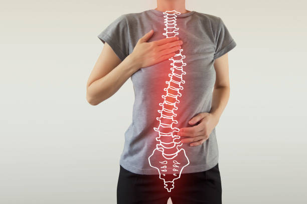 injured human spine highlighted red / vector skeleton scoliosis, kiphosis and lordosis - problems of human spine cerebrospinal fluid photos stock pictures, royalty-free photos & images