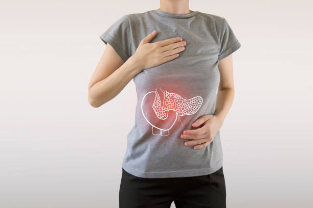 human injured pancreas drawing Digital composite of highlighted red pancreas of woman / pancreatitis / cholecystitis / cholelitthiasis abdominal cavity stock pictures, royalty-free photos & images