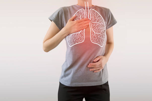 肺の痛み/強調表示されたベクターオルガン - diaphragm ストックフォトと画像