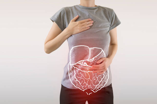 istock liver, stomach, intestine / digestive system organs with pain 1144942601