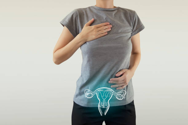 здоровая человеческая матка выделена синий - здоровье женщины - vagina contraceptive gynecologist doctor стоковые фото и изображения