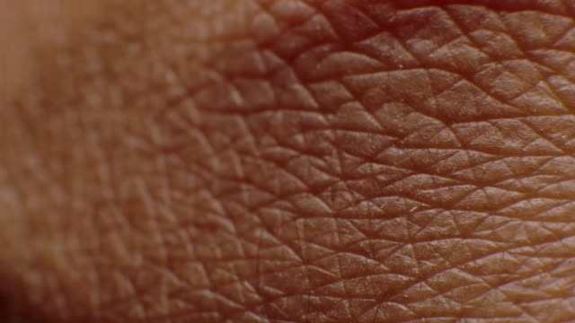 Close-up Macro of Human Skin