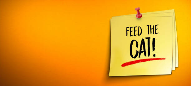 Yellow stick note paper on the orange wall with feed the cat message in large copy space