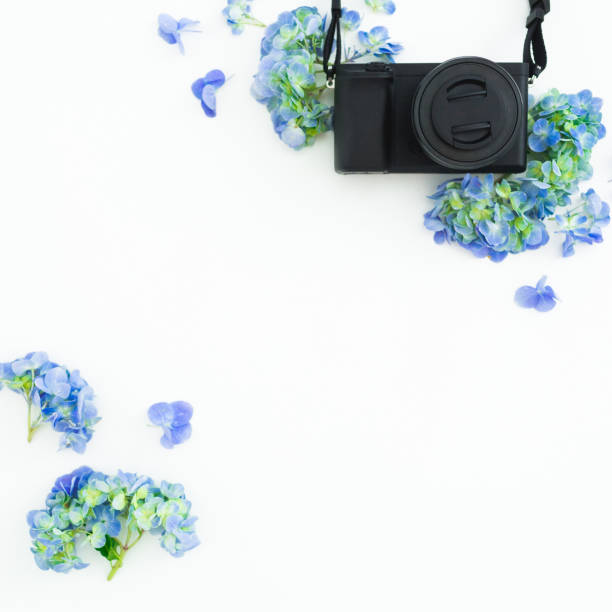 istock Concept with photo camera and hydrangea flowers on white background. Flat lay, top view. Copy space 1144947897