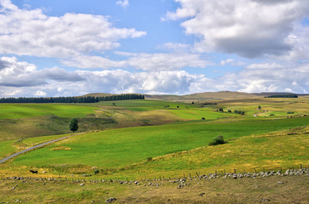 Wild landscape in the department of Cantal in Auvergne. France