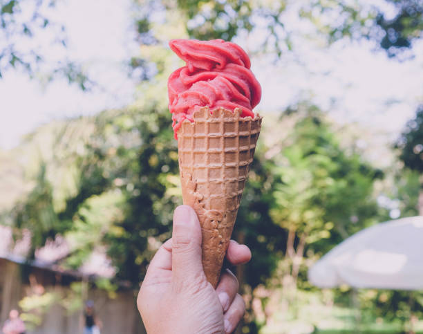 istock Hand holding ice cream cone with green garden background 1144953384