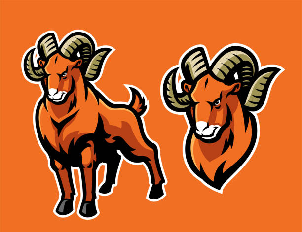 illustrazioni stock, clip art, cartoni animati e icone di tendenza di ram pecore mascotte set - wild goat