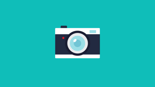 1,047 Photo Camera Icon Stock Videos and Royalty-Free Footage - iStock |  Cat icon