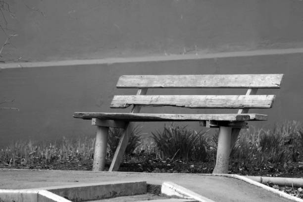 istock Wooden Bench in the park 1144955980
