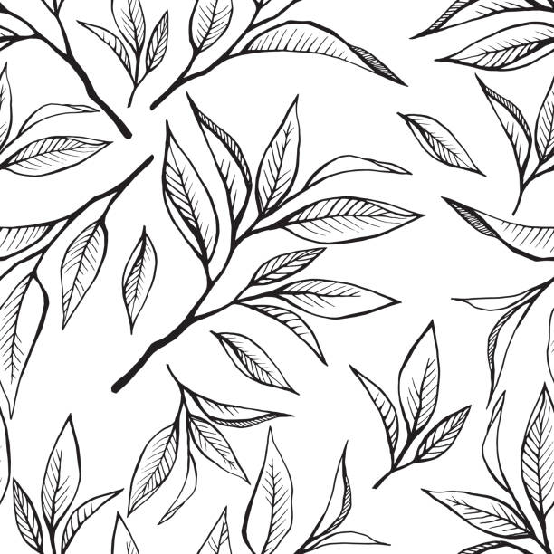 tea leaves seamless pattern Floral seamless pattern with tea leaves in sketch style. Hand drawn tea leaves background. Vector illustration on white. For textile, paper, decoration and wrapping tea stock illustrations