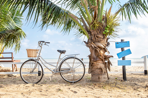 Summer holiday concept, bicycle and coconut tree on the beach, tropical and summer season, vacation destination