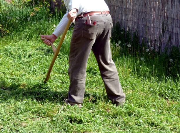 istock male worker in green field scything tall grass. 1144963109